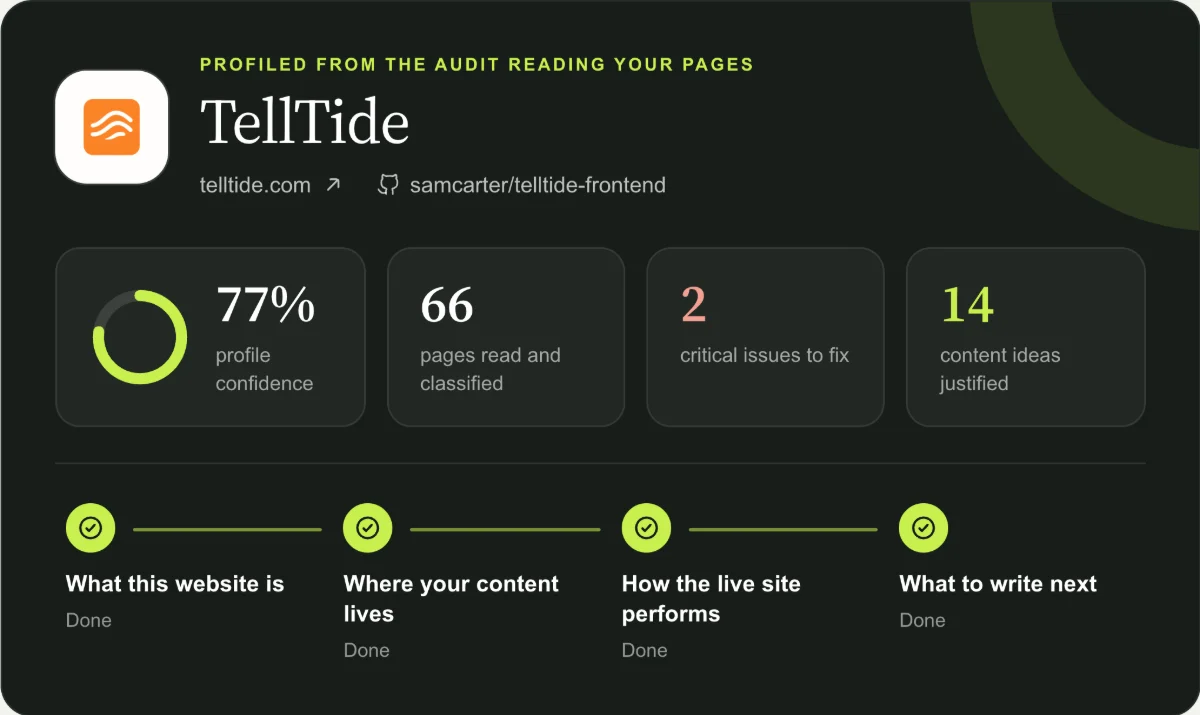 Website profile: 66 pages read and classified, 2 critical issues, 14 content ideas